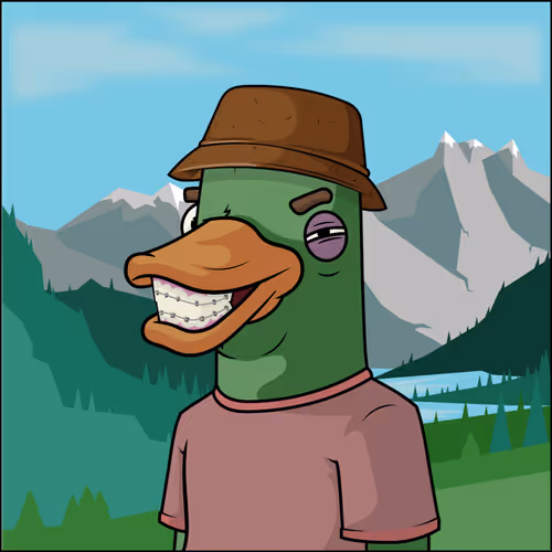 Chill Ducks Nft