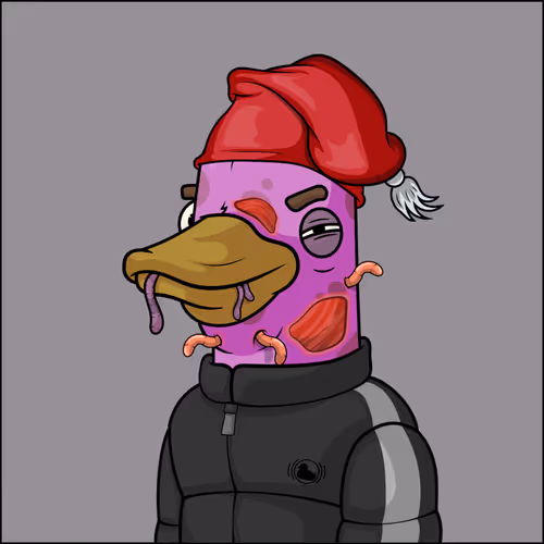 Chill Ducks Nft