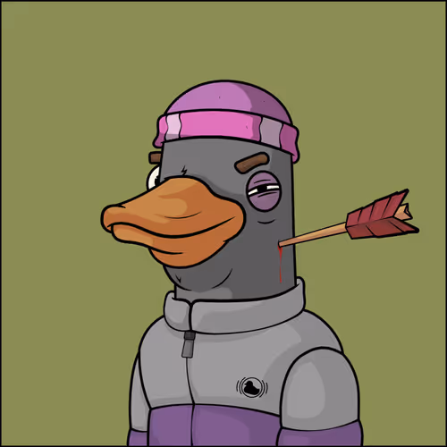Chill Ducks Nft