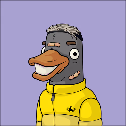Chill Ducks Nft
