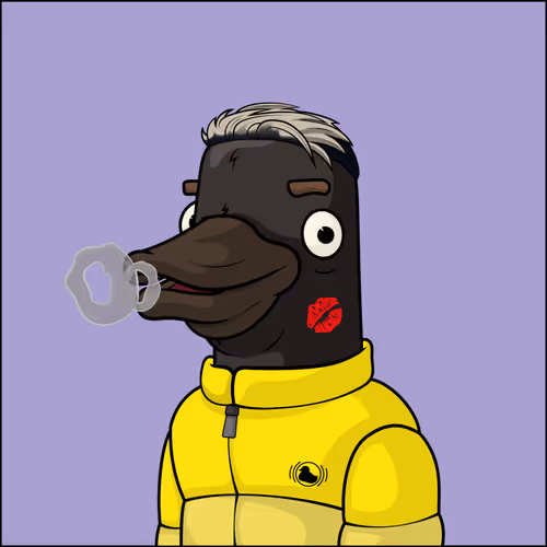 Chill Ducks Nft