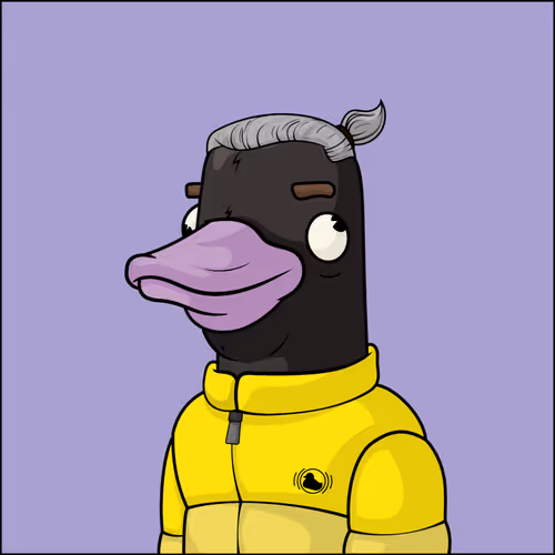 Chill Ducks Nft