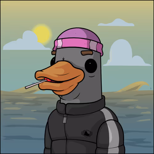 Chill Ducks Nft