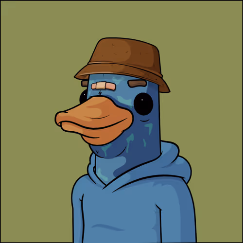 Chill Ducks Nft