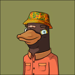 Chill Ducks #2040