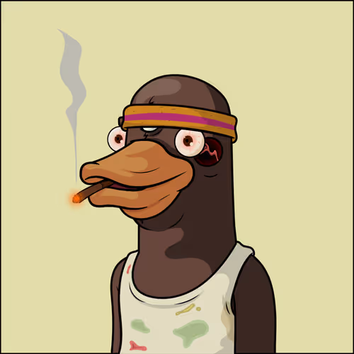 Chill Ducks Nft