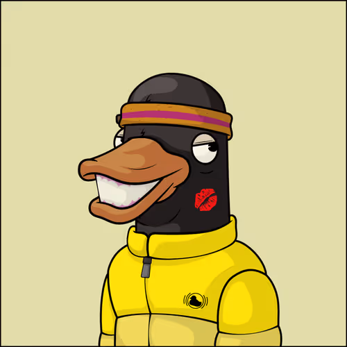 Chill Ducks Nft