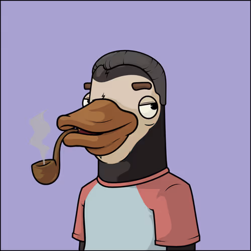 Chill Ducks Nft
