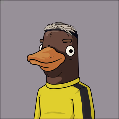 Chill Ducks Nft