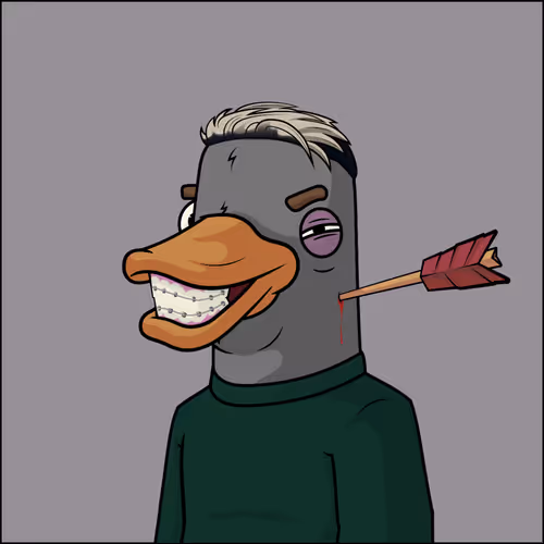 Chill Ducks Nft