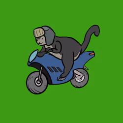 Turbo Cats #161