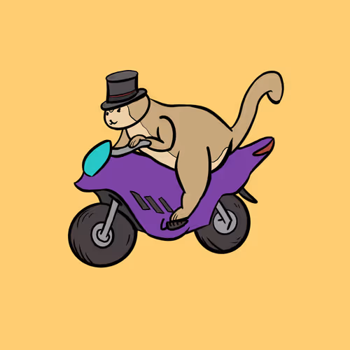Turbo Cats