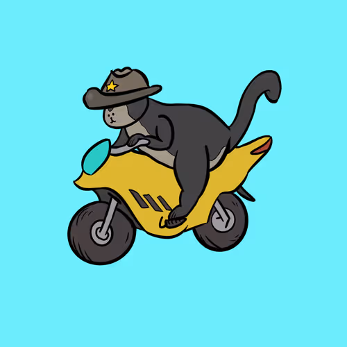 Turbo Cats