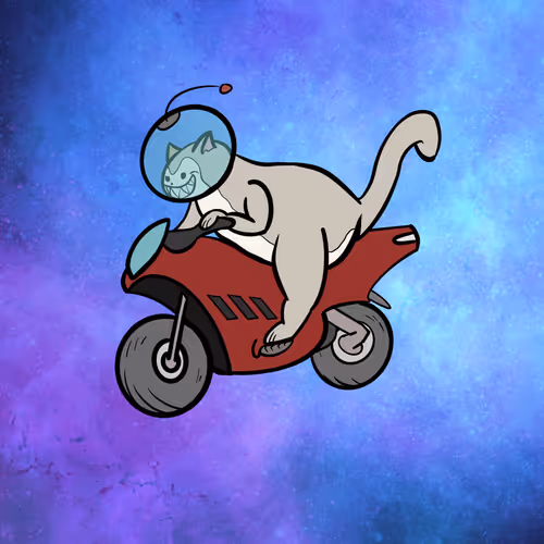 Turbo Cats