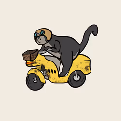 Turbo Cats #162