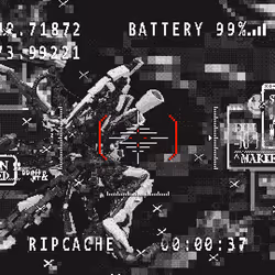 38
