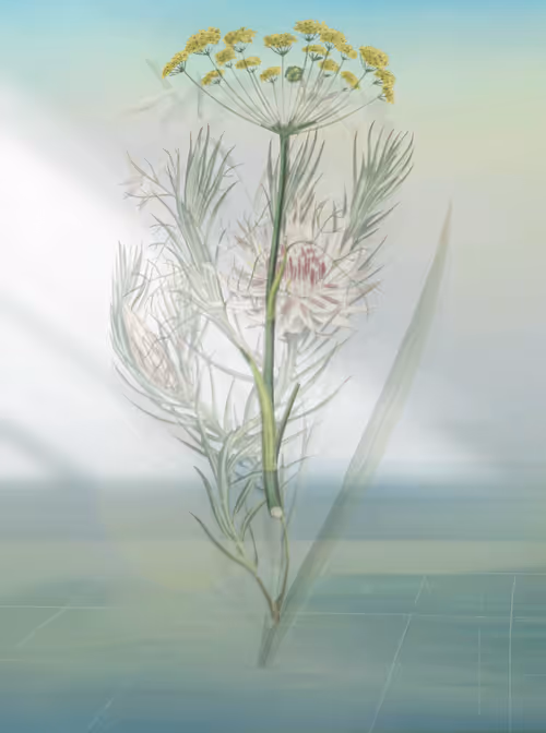 Item #3489052071 Media