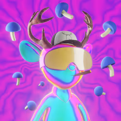 31