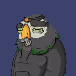 MoreBoringBirds#768