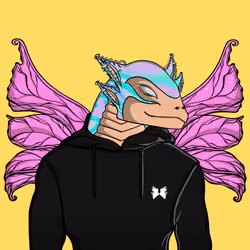 Dragonia #4771