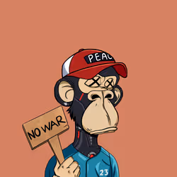 1041