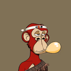 523