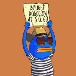 264