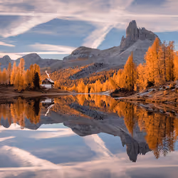 專案媒體佔位符