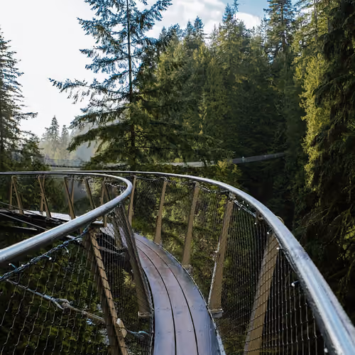 The Bridge