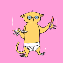 Blazed Cat #5762