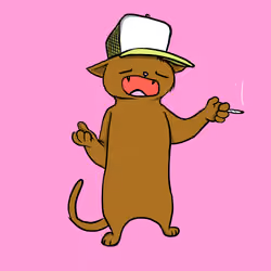 Blazed Cat #770
