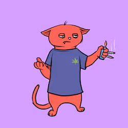 Blazed Cat #7953