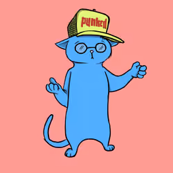 Blazed Cat #7004