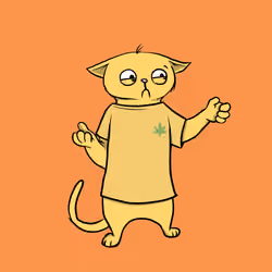 Blazed Cat #3070