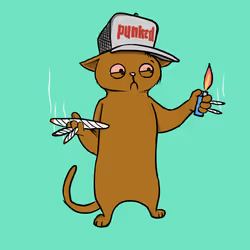 Blazed Cat #763