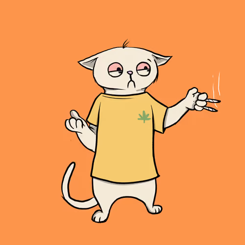 Blazed Cat #3855