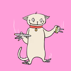 Blazed Cat #4217