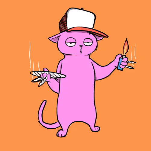 Blazed Cat #8122