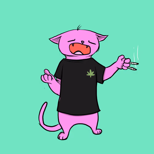 Blazed Cat #5116