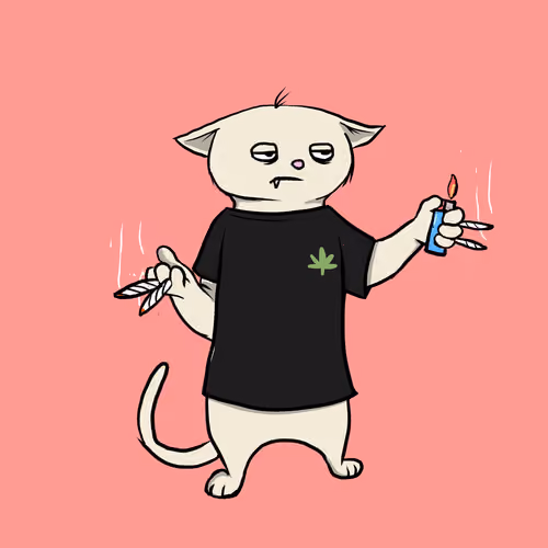 Blazed Cat #9492