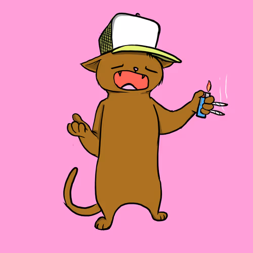 Blazed Cat #6318