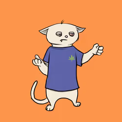 Blazed Cat #7034