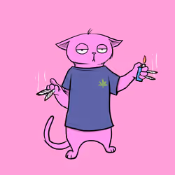 Blazed Cat #7879