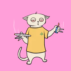 Blazed Cat #477