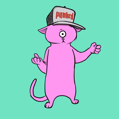 Blazed Cat #256