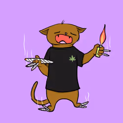 Blazed Cat #2313