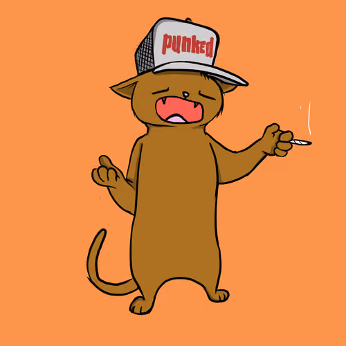 Blazed Cat #7581