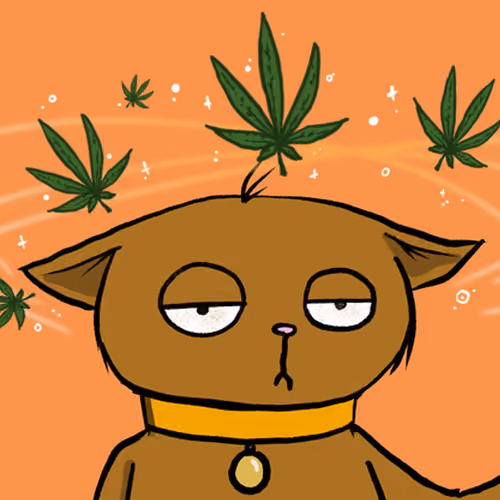 Blazed Cat #1094