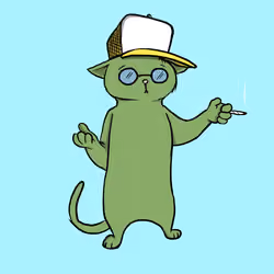 Blazed Cat #3791