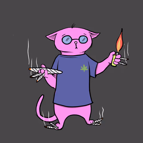 Blazed Cat #6991